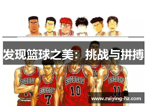 发现篮球之美：挑战与拼搏